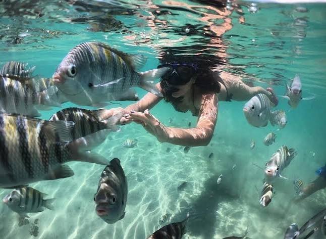 Experiências no mar